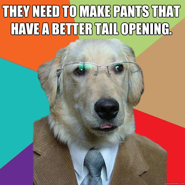 They need to make pants that have a better tail opening.   Business Dog