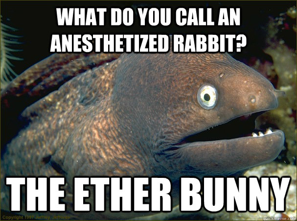 What do you call an anesthetized rabbit? The Ether Bunny  Bad Joke Eel