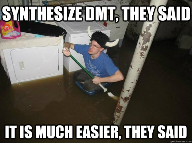 SYNTHESIZE DMT, THEY SAID IT IS MUCH EASIER, THEY SAID  Do the laundry they said
