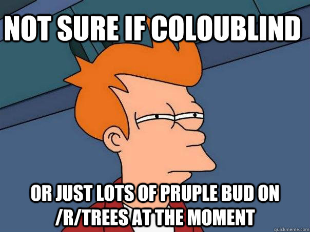 not sure if coloublind or just lots of pruple bud on /r/trees at the moment  Futurama Fry
