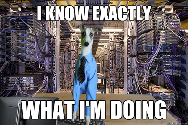 I Know exactly what i'm doing - I Know exactly what i'm doing  Misc