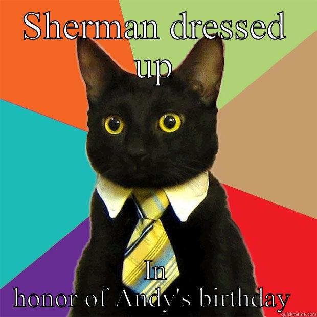 SHERMAN DRESSED UP IN HONOR OF ANDY'S BIRTHDAY  Business Cat