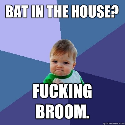 Bat in the house? Fucking broom.  Success Kid