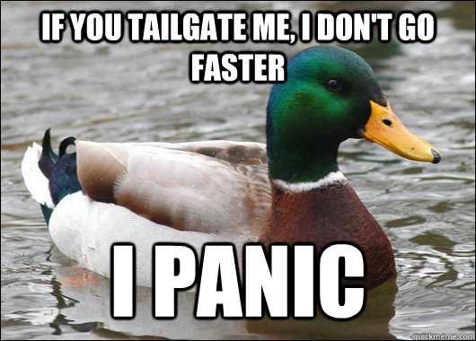 if you tailgate me, i don't go faster i panic  Actual Advice Mallard