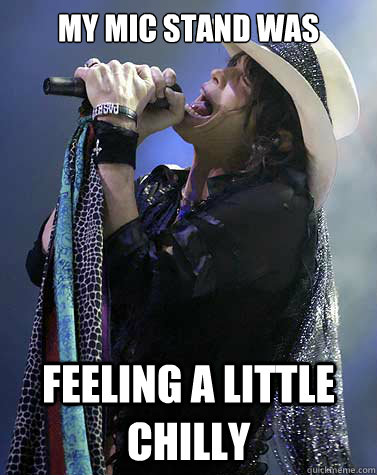 My mic stand was Feeling a little chilly  Steven Tyler