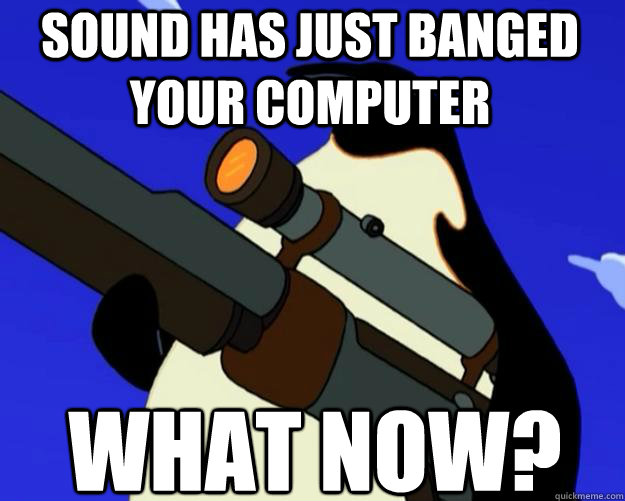 What now? Sound has just banged your computer  SAP NO MORE