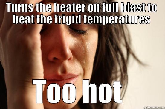 TURNS THE HEATER ON FULL BLAST TO BEAT THE FRIGID TEMPERATURES TOO HOT  First World Problems