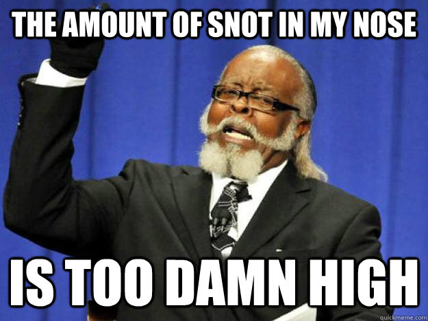 the amount of snot in my nose is too damn high - the amount of snot in my nose is too damn high  Toodamnhigh