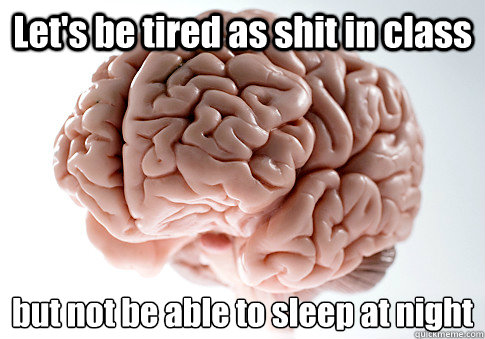Let's be tired as shit in class but not be able to sleep at night - Let's be tired as shit in class but not be able to sleep at night  Scumbag Brain