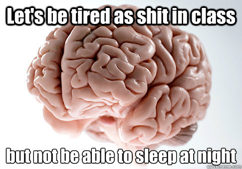 Let's be tired as shit in class but not be able to sleep at night  Scumbag Brain