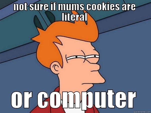 NOT SURE IF MUMS COOKIES ARE LITERAL OR COMPUTER Futurama Fry