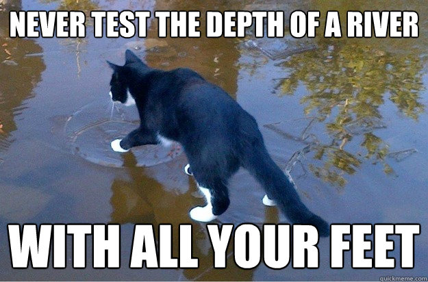 never test the depth of a river with all your feet  Jesus Cat