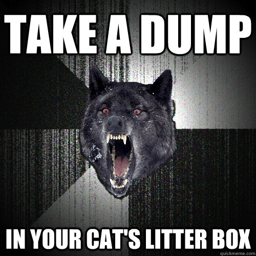 TAKE A DUMP IN YOUR CAT'S LITTER BOX  Insanity Wolf