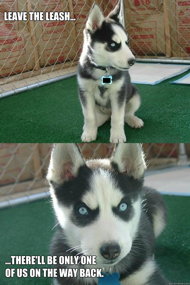 leave the leash... ...there'll be only one
of us on the way back.  Insanity puppy