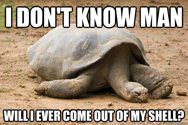 i don't know man  will i ever come out of my shell?  Depression Turtle