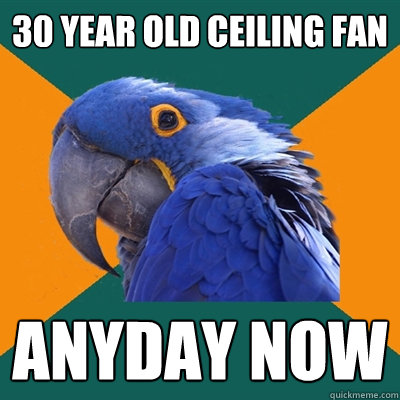 30 year old ceiling fan anyday now  Paranoid Parrot
