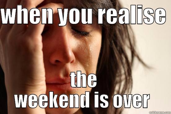 WHEN YOU REALISE  THE WEEKEND IS OVER  First World Problems