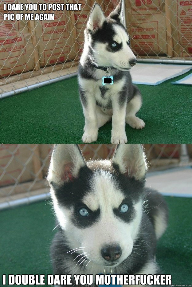 I dare you to post that 
pic of me again I double dare you motherfucker   Insanity puppy