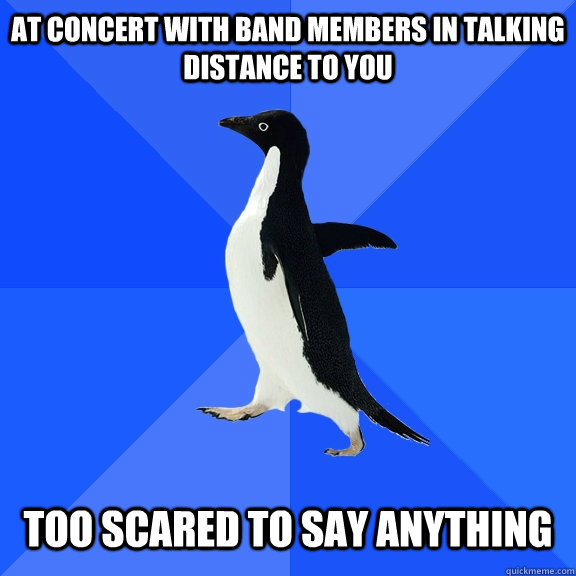 At concert with band members in talking distance to you Too scared to say anything  Socially Awkward Penguin