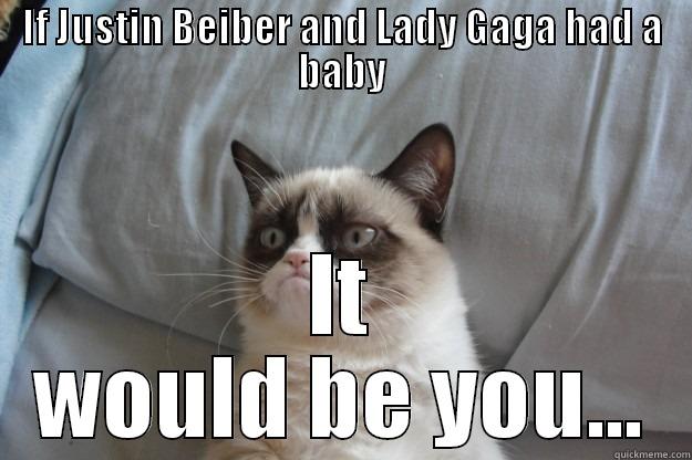 IF JUSTIN BEIBER AND LADY GAGA HAD A BABY IT WOULD BE YOU... Grumpy Cat