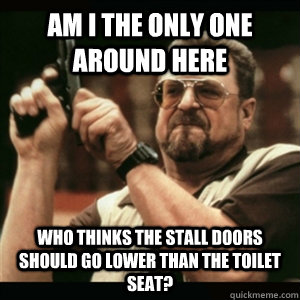 Am I the only one around here who thinks the stall doors should go lower than the toilet seat? - Am I the only one around here who thinks the stall doors should go lower than the toilet seat?  Am I The Only One Round Here