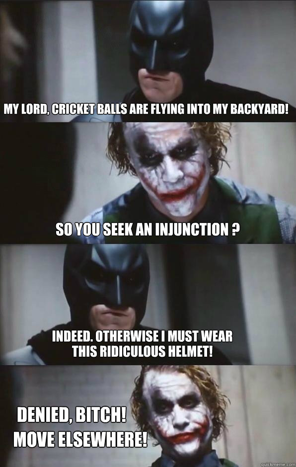 My Lord, cricket balls are flying into my backyard! So you seek an injunction ? Indeed. Otherwise i must wear  Denied, Bitch! This ridiculous helmet! Move elsewhere!  Batman Panel