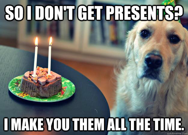 so i don't get presents? i make you them all the time.  Sad Birthday Dog