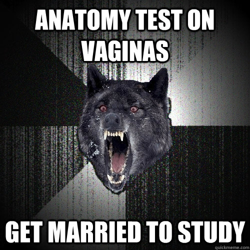 Anatomy test on vaginas Get married to study  Insanity Wolf