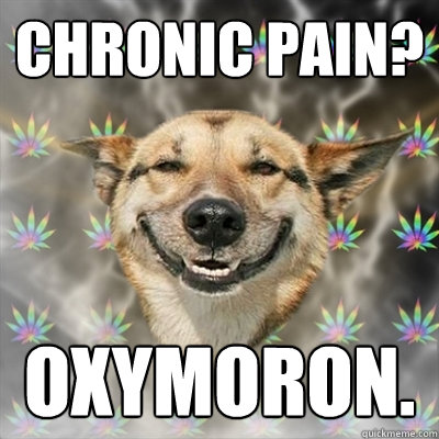 chronic pain? oxymoron.  Stoner Dog