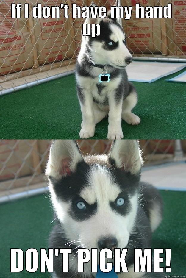 IF I DON'T HAVE MY HAND UP DON'T PICK ME! Insanity puppy
