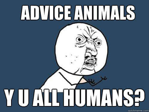 Advice Animals y u all humans? - Advice Animals y u all humans?  Y U No