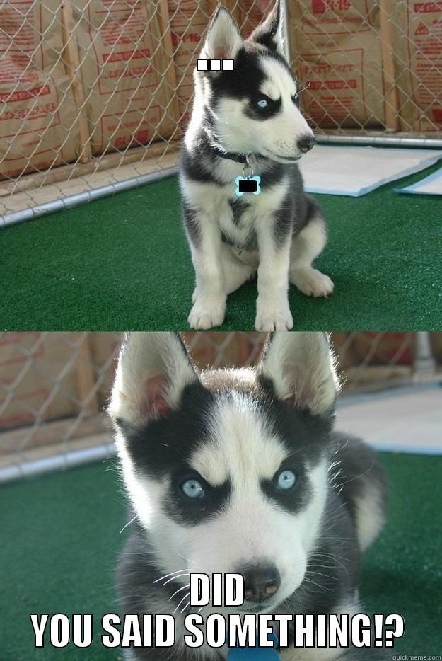 ... DID YOU SAID SOMETHING!? Insanity puppy