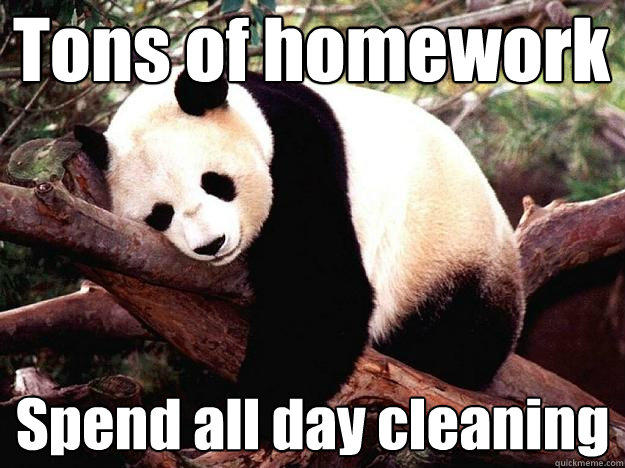 Tons of homework Spend all day cleaning - Tons of homework Spend all day cleaning  Procrastination Panda