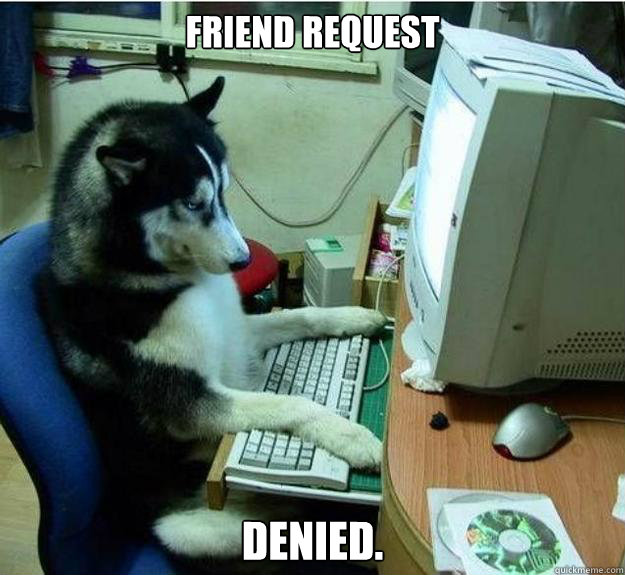 Friend request denied.  Disapproving Dog