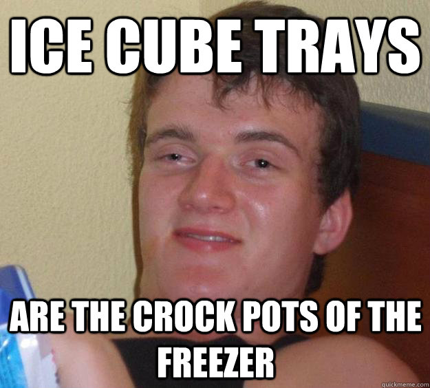 Ice Cube Trays Are the crock pots of the freezer - Ice Cube Trays Are the crock pots of the freezer  10 Guy