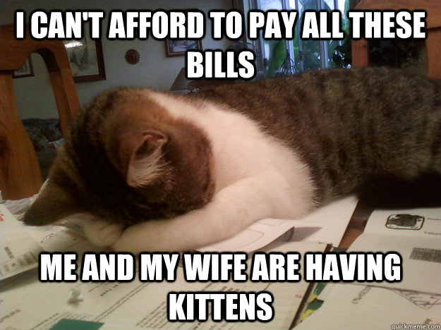 I can't afford to pay all these bills Me and my wife are having kittens   