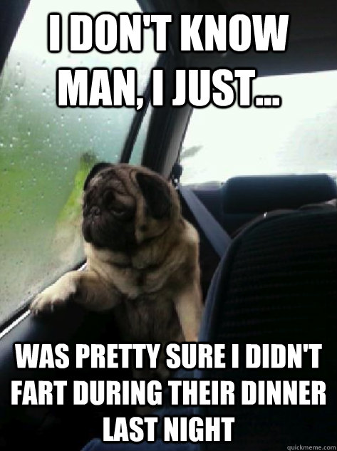 I don't know man, I just... was pretty sure I didn't fart during their dinner last night - I don't know man, I just... was pretty sure I didn't fart during their dinner last night  Introspective Pug