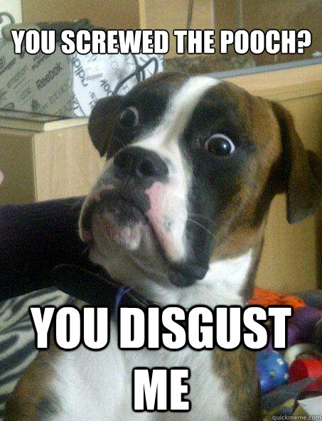 you screwed the pooch? you disgust me - you screwed the pooch? you disgust me  Baffled boxer