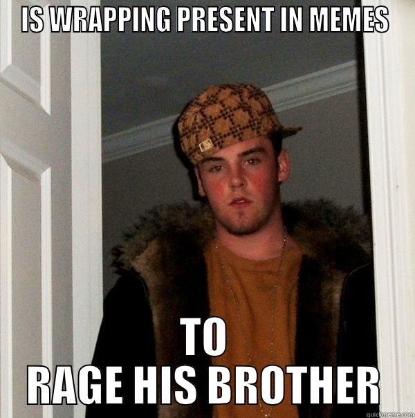 IS WRAPPING PRESENT IN MEMES TO RAGE HIS BROTHER Scumbag Steve