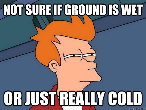 Not sure if ground is wet Or just really cold  Futurama Fry