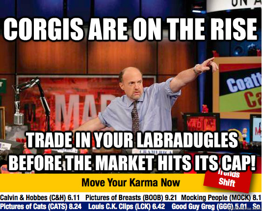 corgis are on the rise Trade in your labradugles before the market hits its cap!  Mad Karma with Jim Cramer