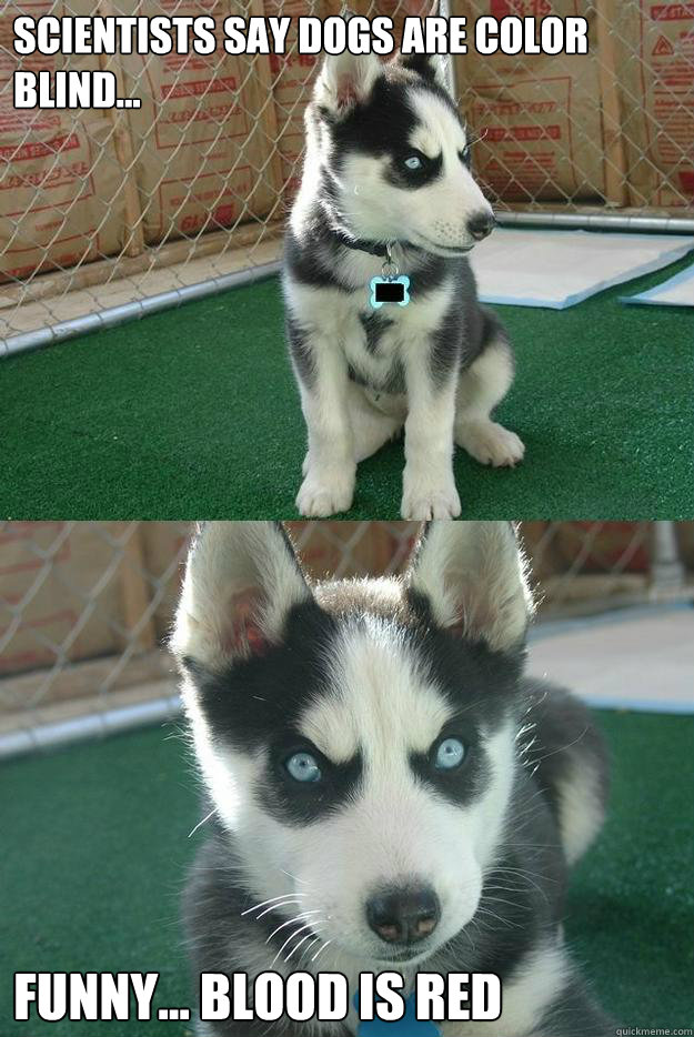 Scientists say dogs are color blind... funny... Blood is RED  Insanity puppy