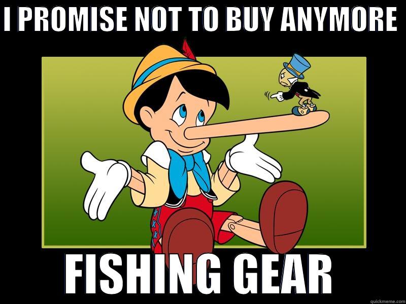Lying Fisherman - I PROMISE NOT TO BUY ANYMORE  FISHING GEAR Misc