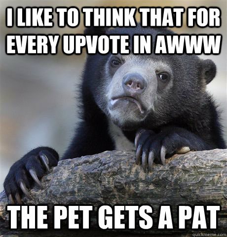 I like to think that for every upvote in awww the pet gets a pat - I like to think that for every upvote in awww the pet gets a pat  Confession Bear