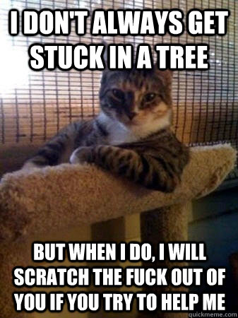 I don't always get stuck in a tree but when I do, I will scratch the fuck out of you if you try to help me  The Most Interesting Cat in the World