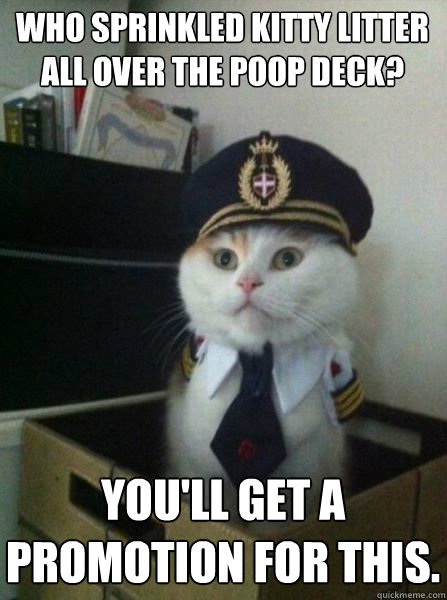 Who sprinkled kitty litter all over the poop deck? You'll get a promotion for this.  Captain kitteh