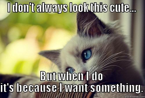I DON'T ALWAYS LOOK THIS CUTE... BUT WHEN I DO IT'S BECAUSE I WANT SOMETHING. First World Problems Cat