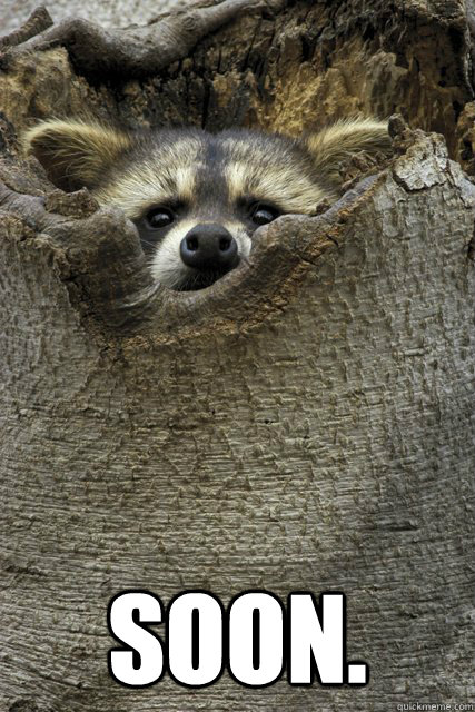  Soon. -  Soon.  Stalker Raccoon