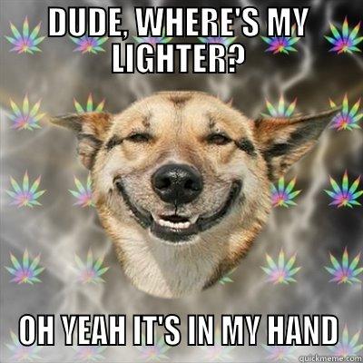 DUDE, WHERE'S MY LIGHTER? - DUDE, WHERE'S MY LIGHTER? OH YEAH IT'S IN MY HAND Stoner Dog