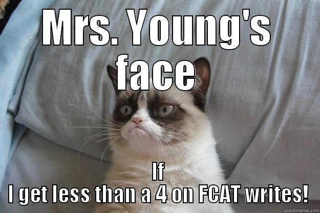 FCAT Fun - MRS. YOUNG'S FACE IF I GET LESS THAN A 4 ON FCAT WRITES! Grumpy Cat